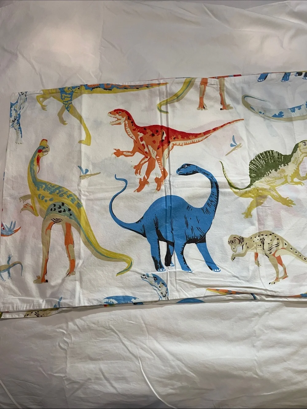 Pottery Barn Kids 100%Cotton “Finn Dino” with Blue, Yellow & Red dinosaurs